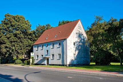 Wohnung Gelsenkirchen Gelsenkirchen-Nord - 2 Zimmer, 41 m&sup2;, 289&euro; | Angebot:19150724