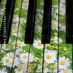 Thomas András Jazz Corporation