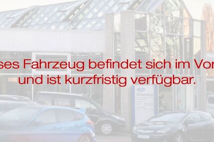 Seat Ibiza 98.500 km 11.974 &euro; Lünen 44532