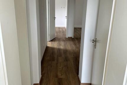 Wohnung Gelsenkirchen Gelsenkirchen-Nord - 3 Zimmer, 61 m&sup2;, 730&euro; | Angebot:26688486