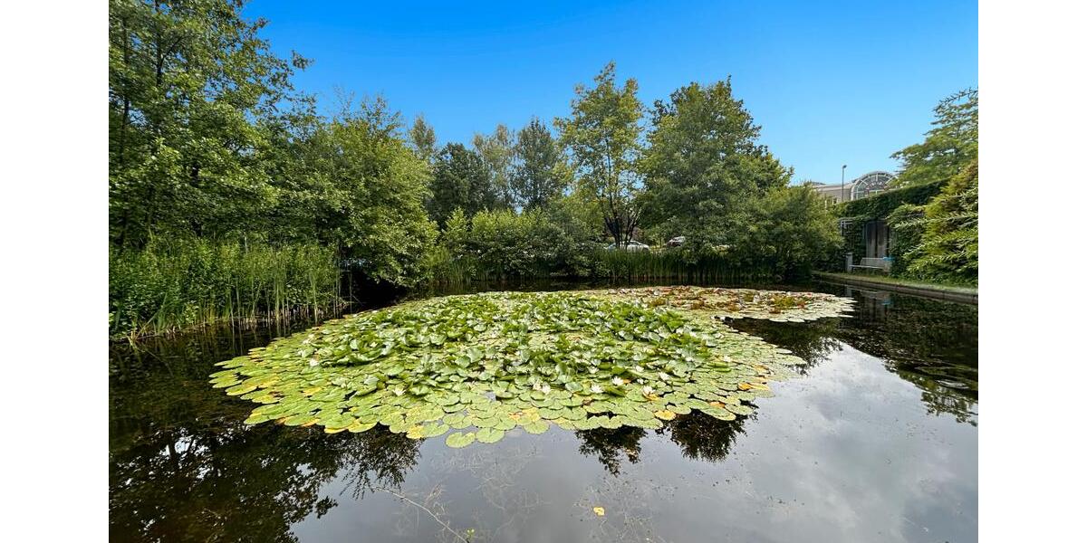 Gewerbeobjekt Essen Stadtbezirk II - 659&euro; | Angebot:22935387