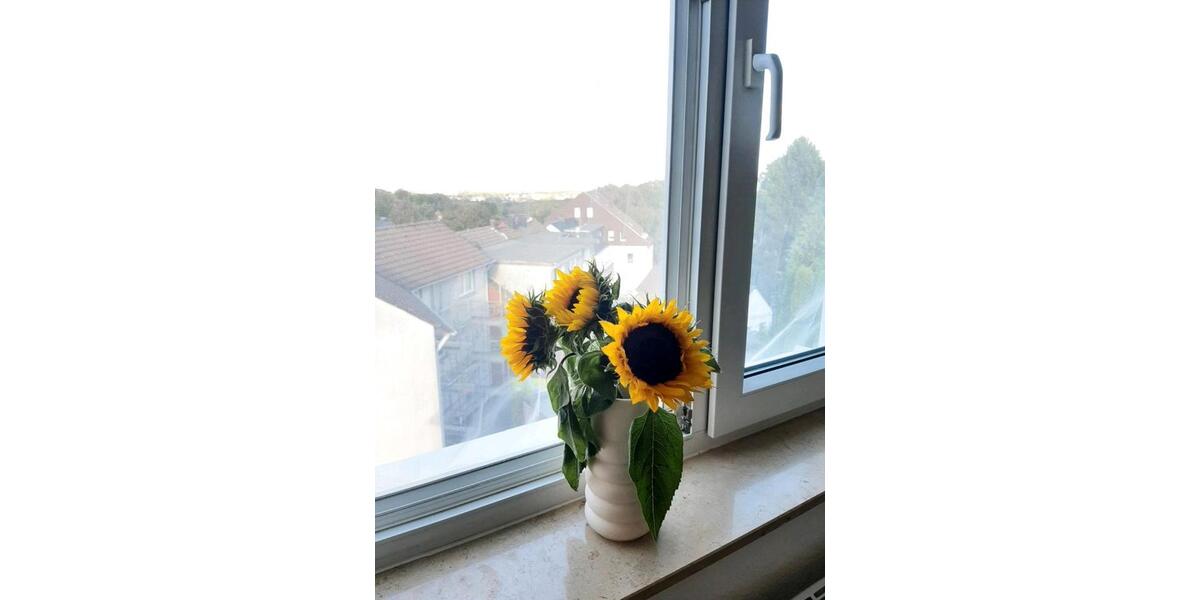 Etagenwohnung Dortmund Hombruch - 1 Zimmer, 23 m&sup2;, 350&euro; | Angebot:25790441