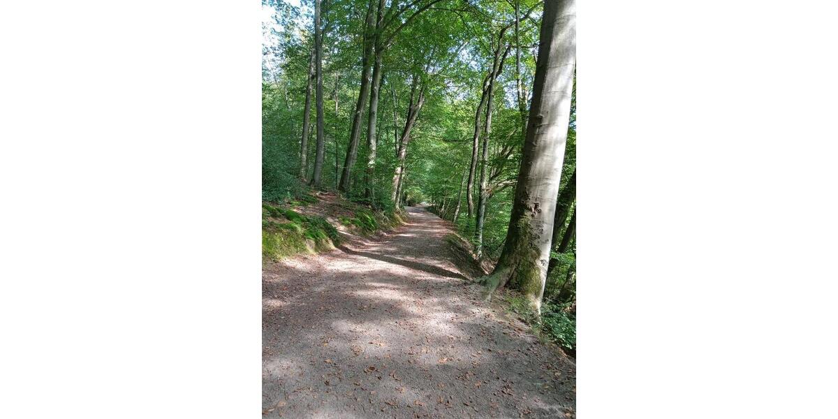 Einfamilienhaus Velbert Langenberg - 5 Zimmer, 162 m&sup2;, 378.000&euro; | Angebot:21508159