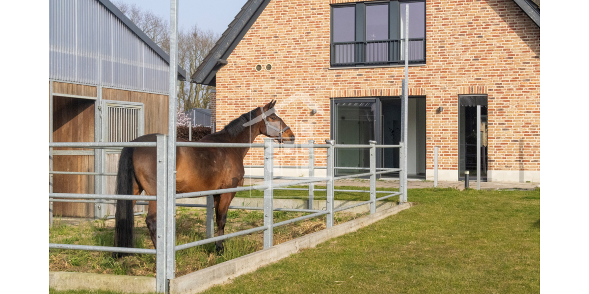 Einfamilienhaus Schermbeck - 7 Zimmer, 204 m&sup2;, 798.800&euro; | Angebot:25922550