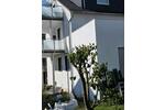 Dachgeschoßwohnung Bochum Bochum-Mitte - 3 Zimmer, 78 m&sup2;, 980&euro; | Angebot:26704953