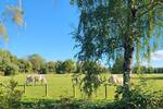 Reihenmittelhaus Herten Bertlich - 3 Zimmer, 80 m&sup2;, 175.000&euro; | Angebot:26694581