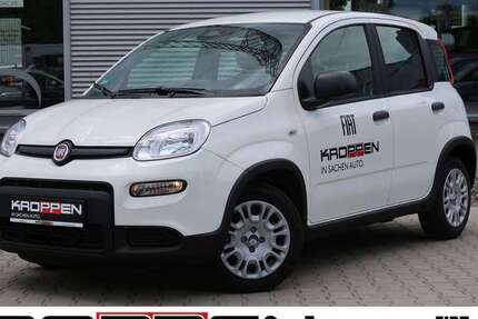Fiat Panda 9.999 km 12.480 &euro; Herten 45701