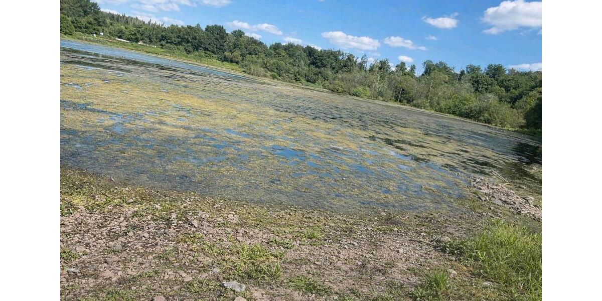 Etagenwohnung Lünen - 2 Zimmer, 64 m&sup2;, 520&euro; | Angebot:25274234