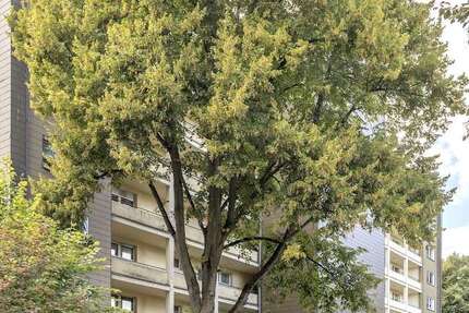 Wohnung Essen Steele - 2 Zimmer, 57 m&sup2;, 445&euro; | Angebot:26146968