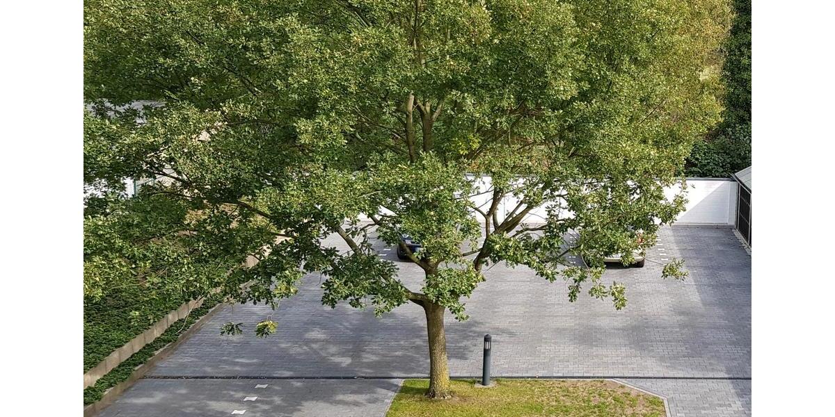 Etagenwohnung Gelsenkirchen Gelsenkirchen-Nord - 2.5 Zimmer, 60 m&sup2;, 328&euro; | Angebot:26003639