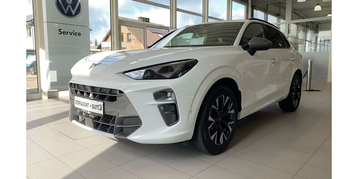 Cupra Terramar 26.020 km 32.590 &euro; Hünxe 46569