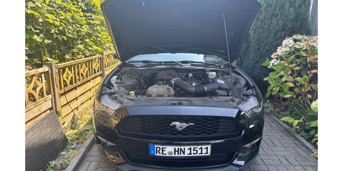 Ford Mustang 63.500 km 20.499 &euro; Marl 45772