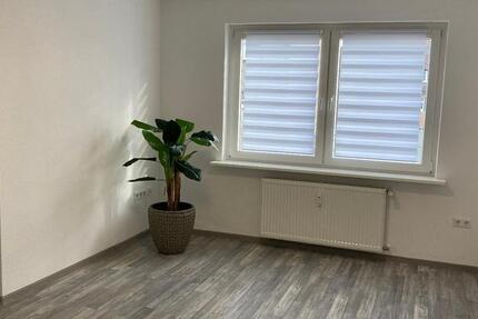 Wohnung Datteln - 2.5 Zimmer, 47 m&sup2;, 400&euro; | Angebot:27552046