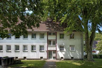 Wohnung Gelsenkirchen Ückendorf - 2 Zimmer, 35 m&sup2;, 289&euro; | Angebot:26098509