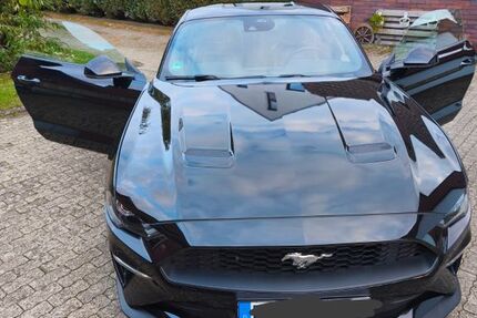 Ford Mustang 78.000 km 37.999 &euro; Haltern am See 45721