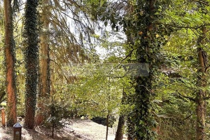 Rückzug statt Alltag – außergewöhnlich wohnen in Hohensyburg - Haus Dortmund Hohensyburg | Angebot:26122460