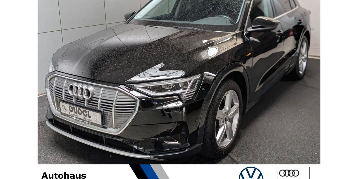 Audi e-tron 48.250 km 35.640 &euro; Raesfeld 46348