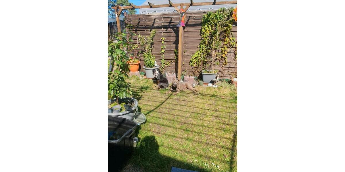 Einfamilienhaus Mülheim an der Ruhr Linksruhr - 2 Zimmer, 25 m&sup2;, 20.000&euro; | Angebot:26130687