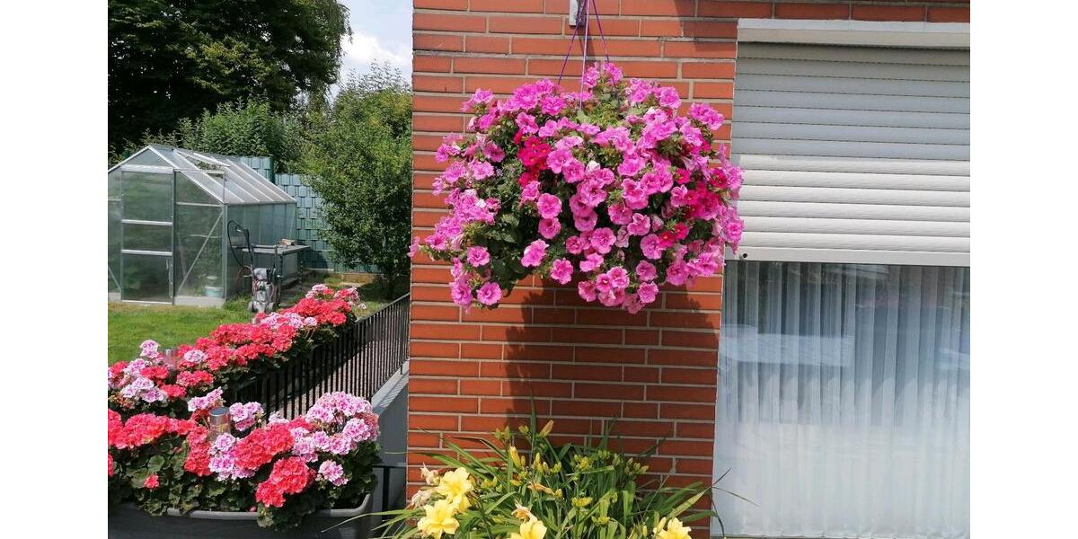 Erdgeschoßwohnung Herten Bertlich - 4.5 Zimmer, 116 m&sup2;, 299.000&euro; | Angebot:26150400