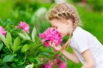 Moderner Wohntraum in Herne - Ihr individuell geplantes Mehrfamilienhaus mit allkauf Komfort - Mehrfamilienhaus, Wohnhaus Herne Baukau | Angebot:27698494