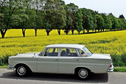 Mercedes-Benz 220 14.500 km 38.900 &euro; Essen-Kettwig 45219