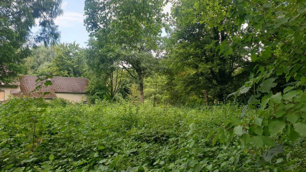 Grundstück Dortmund Scharnhorst - 490.000&euro; | Angebot:25699864