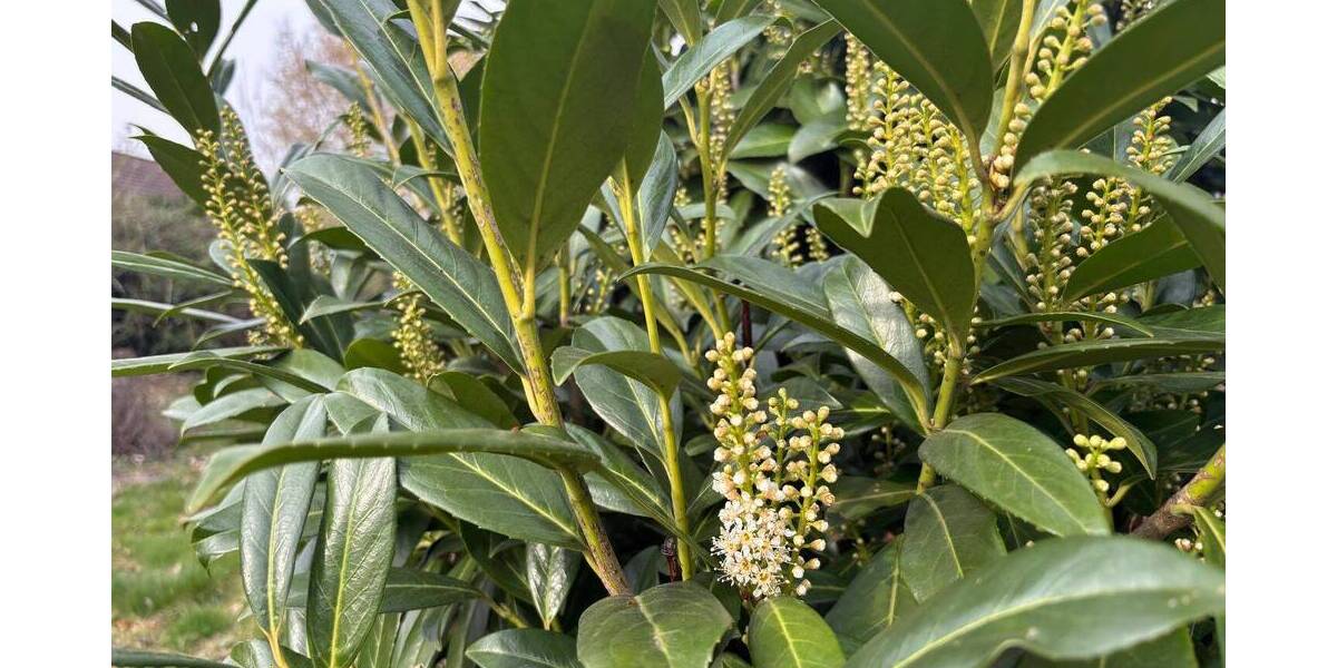 Grundstück Castrop-Rauxel Behringhausen - 224.000&euro; | Angebot:26156345