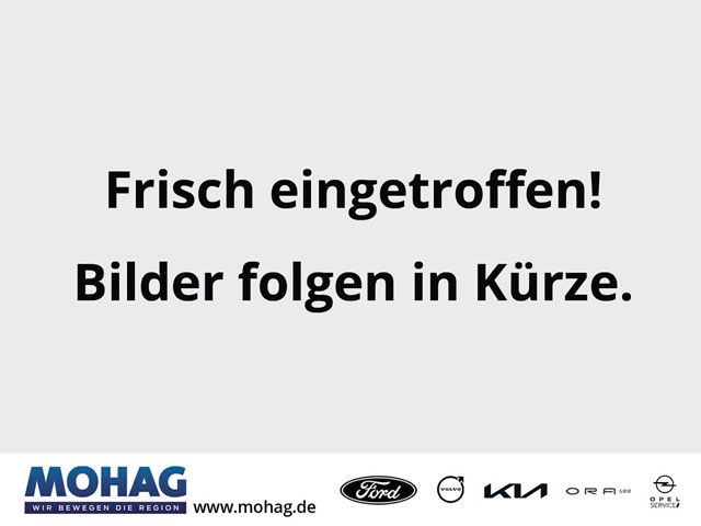 Ford Mustang Mach-E 20.523 km 48.980 &euro; Dorsten 46282