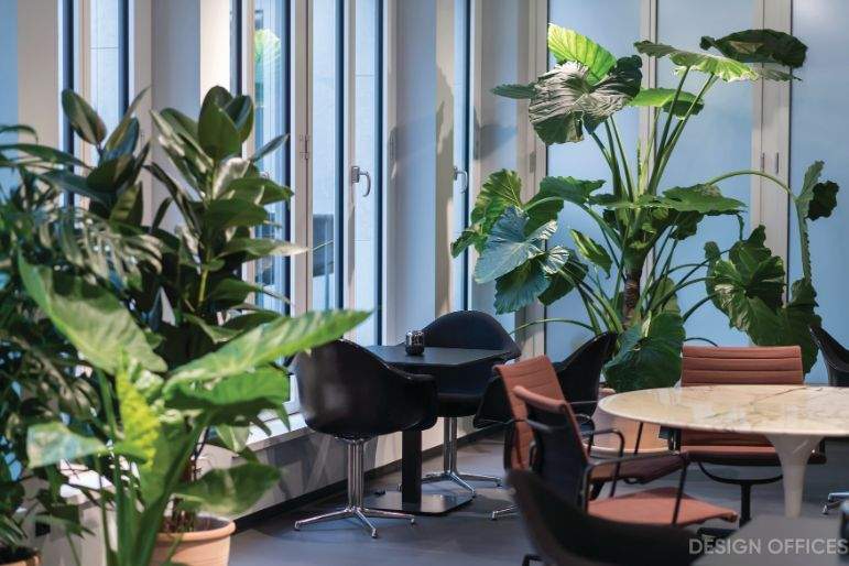 Gewerbeobjekt Essen Südviertel - 650&euro; | Angebot:25672189