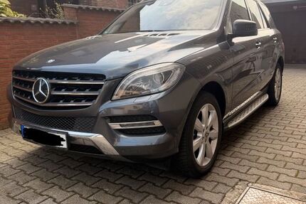 Mercedes-Benz ML 350 207.187 km 19.400 &euro; Oberhausen 46147