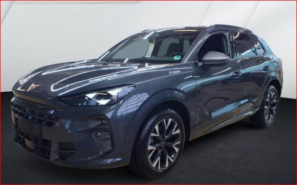 Cupra Terramar 20.240 km 32.850 &euro; Hünxe 46569