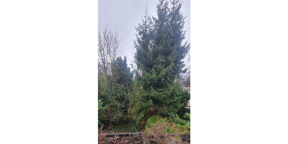 Etagenwohnung Essen Stadtbezirk II - 3 Zimmer, 84 m&sup2;, 1.060&euro; | Angebot:25381671