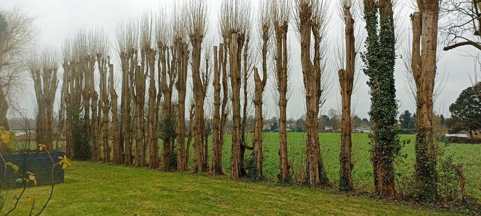 Erdgeschoßwohnung Recklinghausen Berghausen - 3 Zimmer, 65 m&sup2;, 145.000&euro; | Angebot:25972129