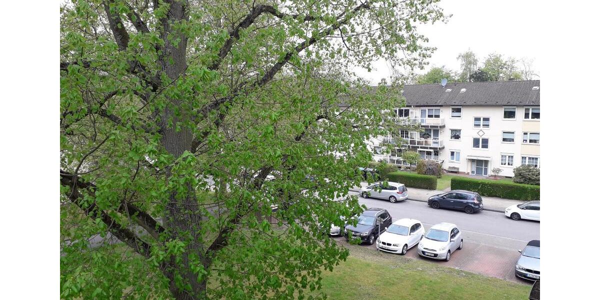 Etagenwohnung Essen Stadtbezirk VII - 3 Zimmer, 65 m&sup2;, 569&euro; | Angebot:26661260