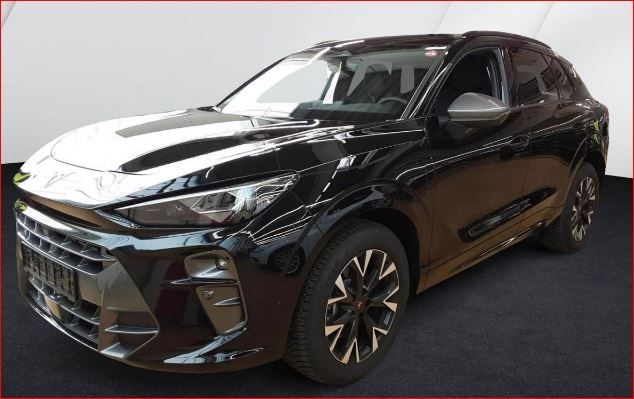 Cupra Terramar 18.160 km 37.990 &euro; Hünxe 46569