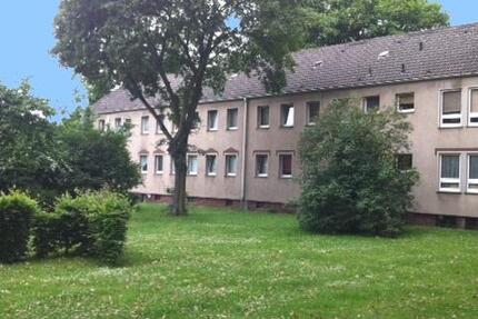 Wohnung Oberhausen Alstaden - 2.5 Zimmer, 44 m&sup2;, 406&euro; | Angebot:26043938