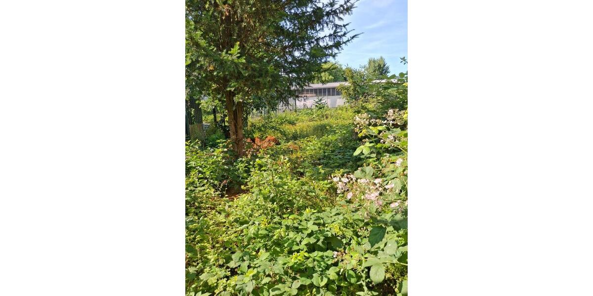 Gewerbeobjekt Gelsenkirchen Gelsenkirchen-Mitte - 2.400&euro; | Angebot:25956870