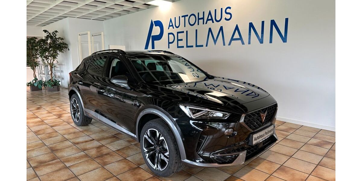 Cupra Formentor 83 km 33.890 &euro; Reken 48734