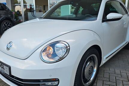 VW Beetle 117.166 km 9.550 &euro; Heiden 46359
