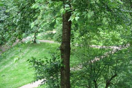 Wohnung Herten Disteln - 3 Zimmer, 77 m&sup2;, 463&euro; | Angebot:25601530