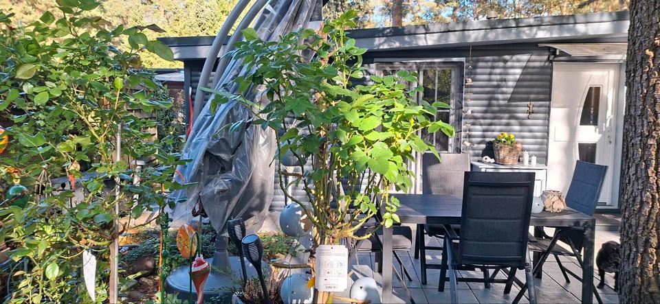 Einfamilienhaus Olfen - 89.900&euro; | Angebot:26226559