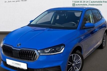 Skoda Fabia 24.005 km 18.290 &euro; Bochum 44805