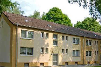 Wohnung Recklinghausen Hochlarmark - 3 Zimmer, 52 m&sup2;, 274&euro; | Angebot:27352435