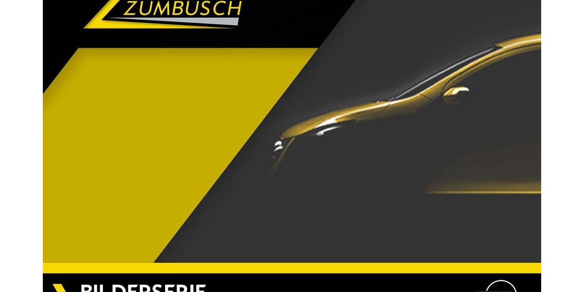 Opel Grandland (X) 80.269 km 16.990 &euro; Dülmen 48249