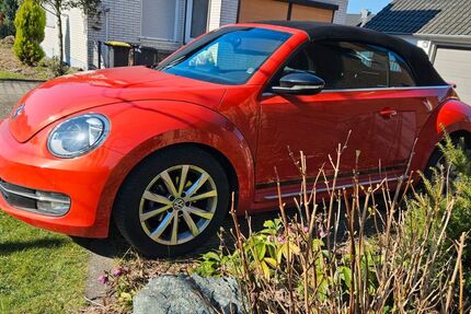 VW Beetle 53.260 km 16.600 &euro; Dortmund 44319