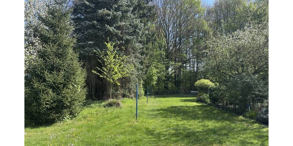 Mehrfamilienhaus, Wohnhaus Gelsenkirchen Buer - 1 Zimmer, 299.000&euro; | Angebot:26687127