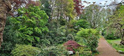 ABSOLUTE RUHE AUF 5.000 M² MIT WOHNHAUS - Grundstück Mülheim an der Ruhr Dümpten | Angebot:27570961