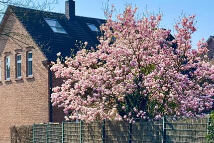 Haus Gelsenkirchen Erle - 5 Zimmer, 140 m&sup2;, 329.000&euro; | Angebot:26122090