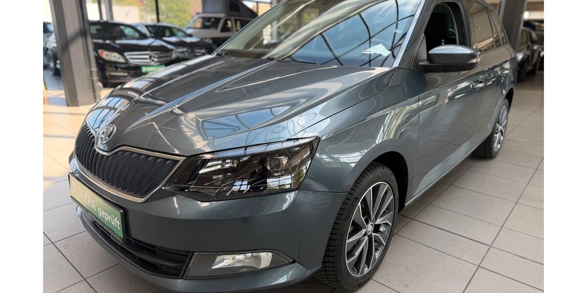 Skoda Fabia 248.500 km 5.290 &euro; Bottrop 46236
